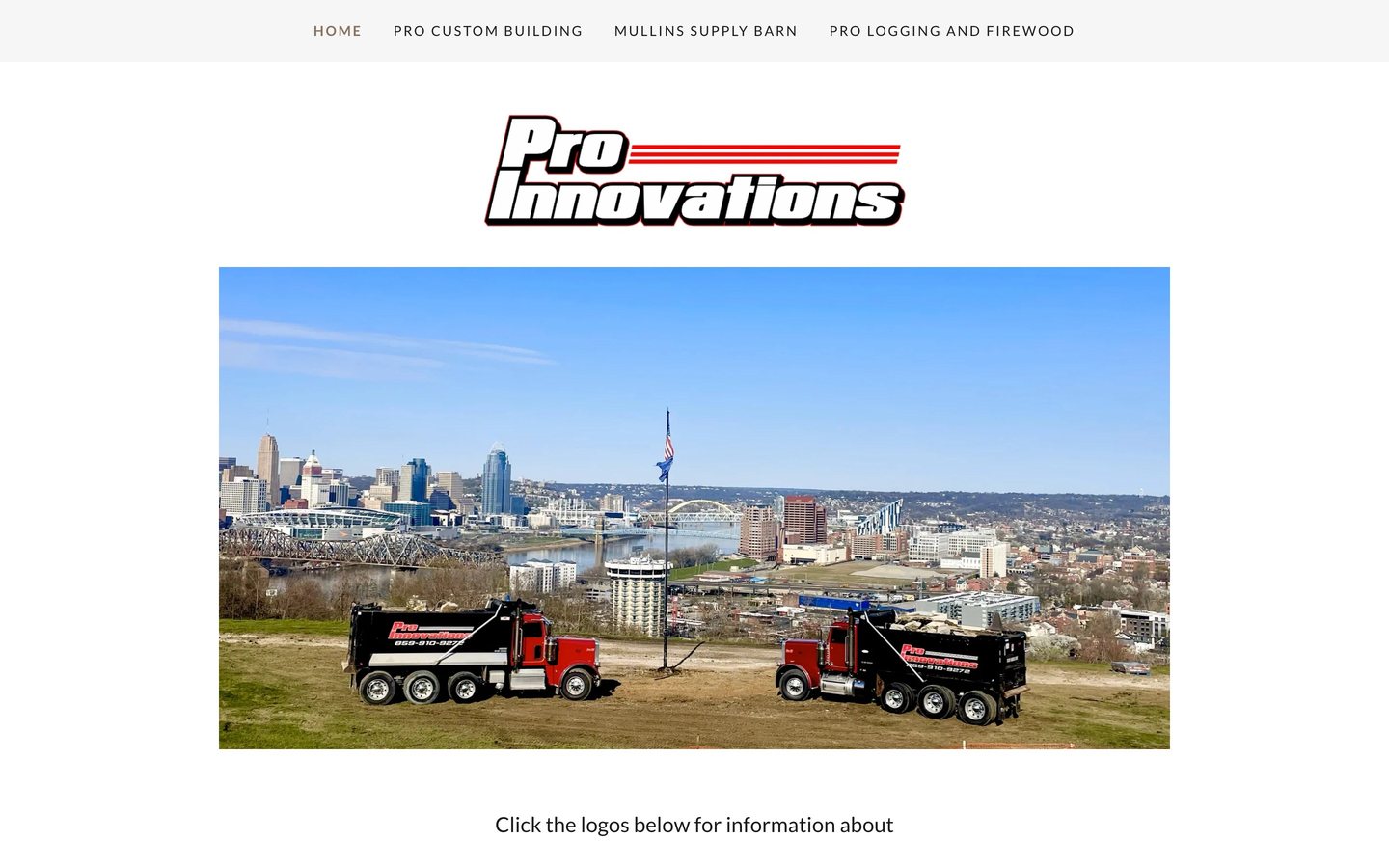 Pro Innovations's website before the rebuild